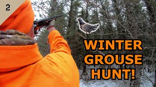 Winter Spruce Grouse and RUFFED GROUSE HUNT!