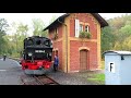 schmalspurbahnen in deutschland 3 die preßnitztalbahn