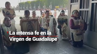 Devoción masiva a la Virgen de Guadalupe: Más de 12 millones de peregrinos en la Basílica