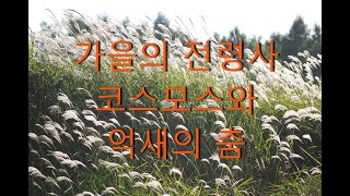 가을의 전령사