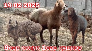 9сар солук 1сар кушкор  +992 92 812 94 95ватсап