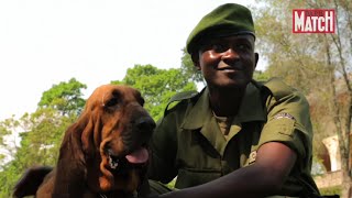 La lutte anti-braconnage au parc des Virunga