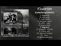 Fluoride - Disentanglement LP FULL ALBUM (2019 - Grindcore / Powerviolence)