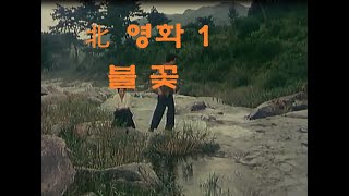 이북의 영화 1 \