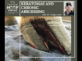 Keratomas and Chronic Abscessing with Dr. Craig Lesser