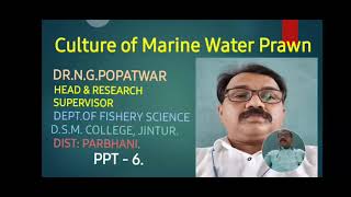 Culture of Marine Prawns in India-Larval food, methods of prawn fishing.