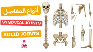 أنواع المفاصل ||crash course about types of joints