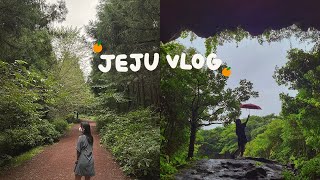 [VLOG] 인생샷을 찾아 다니는 하이에나ㅣ찐막 제주도 브이로그 🍊ㅣ동쪽 제주 (사려니숲길, 동굴 카페, 우무, 일통이반, 성읍칠십리, 제주시월)