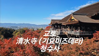 2024-12-01 교토 清水寺 (기요미즈데라) 청수사