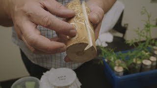 A look inside the Great Lakes Forestry Centre