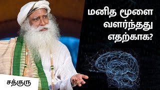 மனித மூளை வளர்ந்தது எதற்காக? - VIJAY TV அத்தனைக்கும் ஆசைப்படு - பாகம் 52B