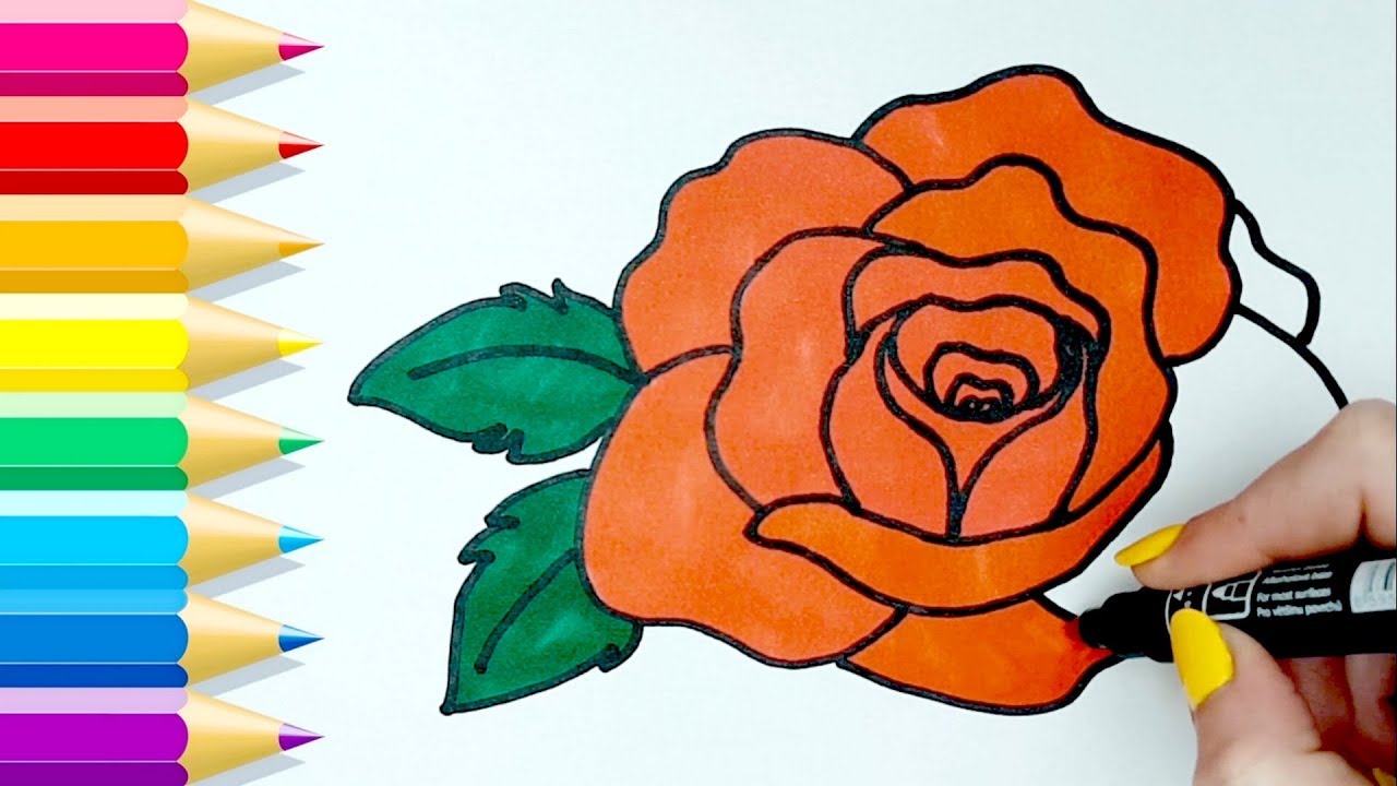 Como Dibujar Una Rosa Paso A Paso 💙 How To Draw A Red Rose - YouTube