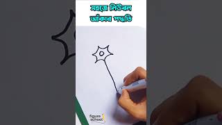 Shortcut drawing (Neuron cell)