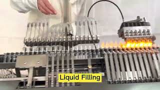 LSAG 6 Ampoule Filling and Sealing Machine