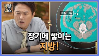 ※주의※ 장기에 쌓이는 지방! 생명을 위협하는 내장 지방의 경고 MBN 220918 방송