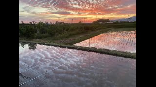 自分たちのお酒造りプロジェクト２０２４