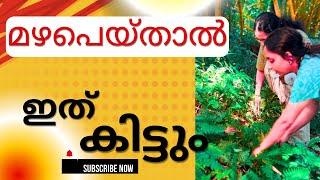 തേടി  നടന്ന. ഐറ്റം അങ്ങനെ. കയ്യിലെത്തി!  Natural