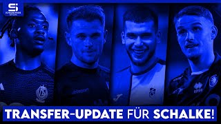 Transfer-Update Schalke: So steht es um Balikwisha, Donkor, Aydin, Scienza, Verlinden und mehr!