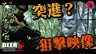 忍び猟　撃ったら向かってきた！　やる気か？　鹿３頭、鴨１羽の衝撃の狙撃感　スコープ狙撃映像