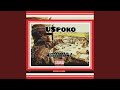 USpoko (feat. Mlindo_Da_MC)