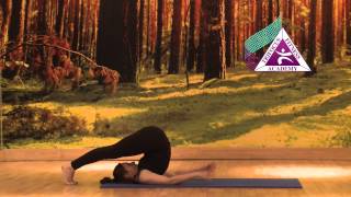 Yoga - Inverted Postures