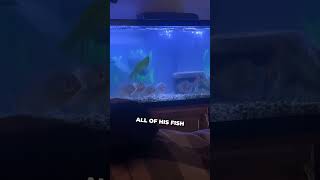 Even his fish love this actor 😂 #shorts #shortsvideo #shortsfeed