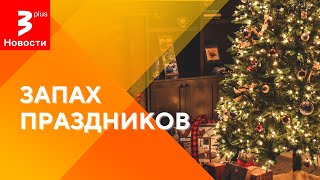 Кучюкай могут подорожать: сколько теперь стоит зимнее угощение? / Новости TV3 Plus