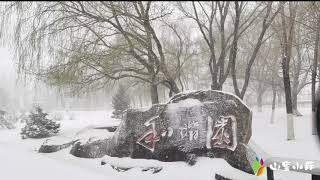 东北齐齐哈尔4月的暴雪，从18度直降零下1度，如此美景可曾见过？