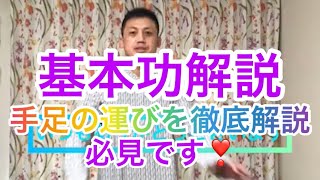 基本功の重要性、手足の運びを徹底解説❣️これを皆さんと共有します。#張紹偉 #太極拳