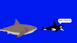 Megalodon VS Orca (3)