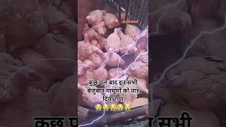 कितना निर्दयी हो गया है इन्सान 😢 #shorts #trending #shortsvideo #new #sad #reels #video