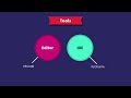 Python #3 - Code Editors [By Mosh Hamedani]