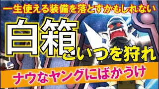 【ドラクエ10】雷埋めを狙え！今流行りの白箱！