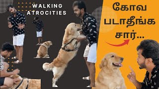 Walking Atrocities || Reggie || Golden Retriever || Best Dog