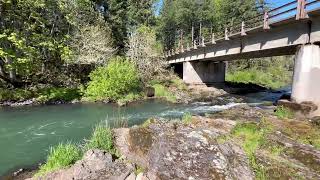Fall Creek Oregon Trout Stocking 2026 | When & Where Trout Are Released