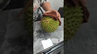 Unboxing Musang King 🐱 猫山王 #榴莲 #猫山王 #猫山王榴莲 #musangking #durian #榴莲控 #durianmusangking #durianseason