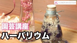 【園芸講座】ハーバリウム テレビ 「楽しい花辞典」放映中 FLOWER-INN OOTSUKI