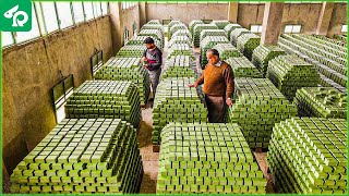 How to Produce Millions of Olive Soap Bar in Traditional Soap Factory - Farming Documentary