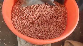 வேர்க்கடலை விதை நேர்த்தி செய்வது எப்படி | Groundnut Seed Treatment | நிலக்கடலை விதை நேர்த்தி செய்தல்