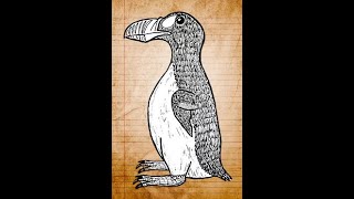 Great Auk Song