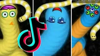 TikTok WormsZone io Compilation Video! (Tik Tok Worms Zone io clips) #Wormszonetiktok #10