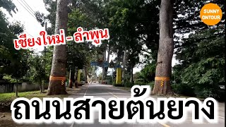 ขับรถพาชมถนนสายต้นยาง​ จากลำพูน​ -​ เชียงใหม่​ |  Ton Yang Road, Chiang Mai-Lamphun | Sunny​ontour​