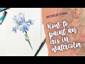 Watercolor Painting Tutorial: Blue Iris step by step