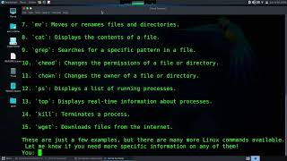 chatgpt on a linux terminal using python and openai API