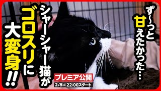 *Change [Starts 2/8 (Sat) 22:00] I've always wanted to be pampered... Until the herding cat becom...