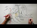 the infratemporal fossa boundaries u0026 contents anatomy tutorial