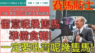 【賽馬貼士提供】2023/04/23 沙田 留意呢幾隻馬準備食糊!!!一定要吼實呢幾隻馬!! #賽馬貼士 #賽馬 #賽馬投注 #賽馬分析