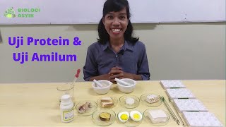 Uji Protein \u0026 Uji Amilum - uji dengan reagen biuret dan reagen iodin