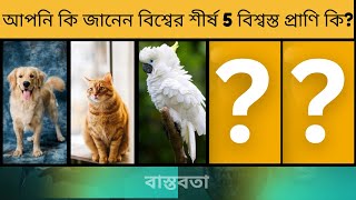 আপনী কি জানেন বিশ্বের শীর্ষ 5 বিশ্বস্ত প্রাণির নাম কি ?   #facts #viralshorts #viralvideo