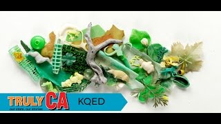 One Plastic Beach | KQED Truly CA